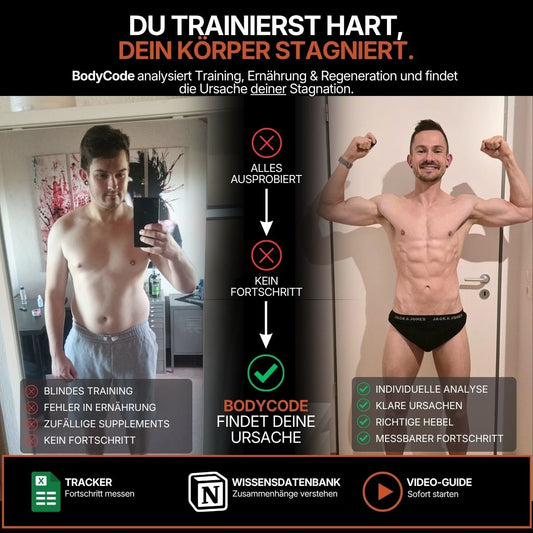 BodyCode-Academy - System – Dein persönliches Analyse-System