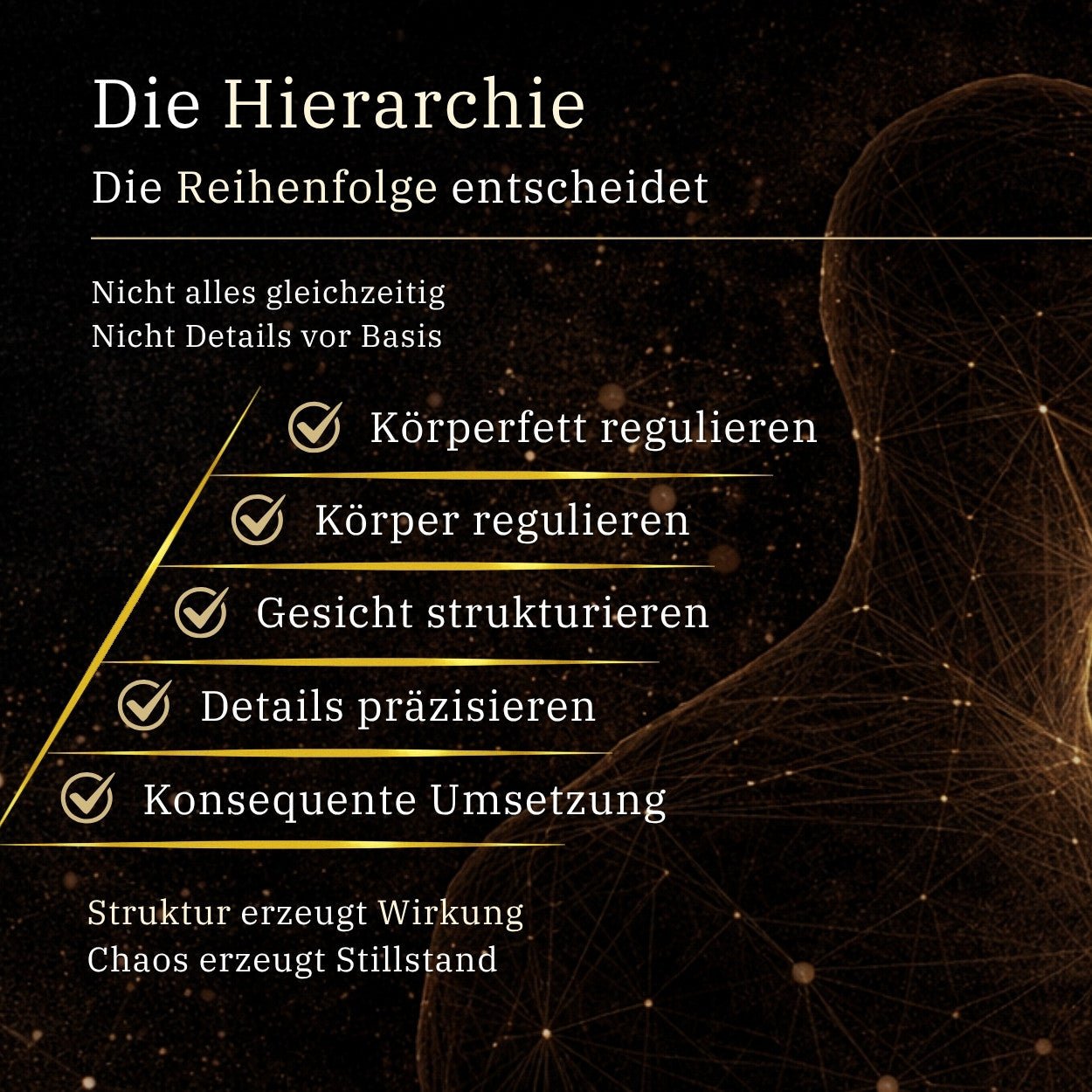 BodyCode Aesthetics™ – Weniger Gesichtsfett, mehr Attraktivität